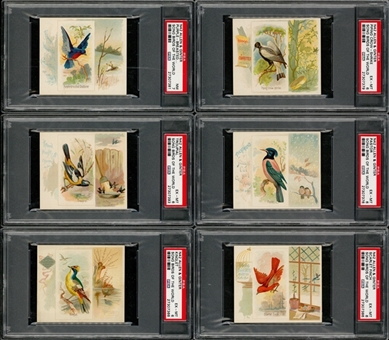 1889 N42 Allen & Ginter "Birds of the World" Large Cards Near Set (47/50) - #2 on the PSA Set Registry!